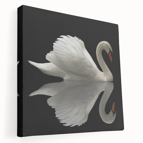Stretched canvas wall art featuring a serene swan design in soft pastel colors, showcasing graceful lines and elegant details, perfect for home decor.