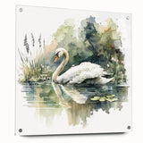 Elegant acrylic glass wall art featuring a serene swan design from the Birds Collection, displayed in side view with decorative pins, ideal for modern decor.