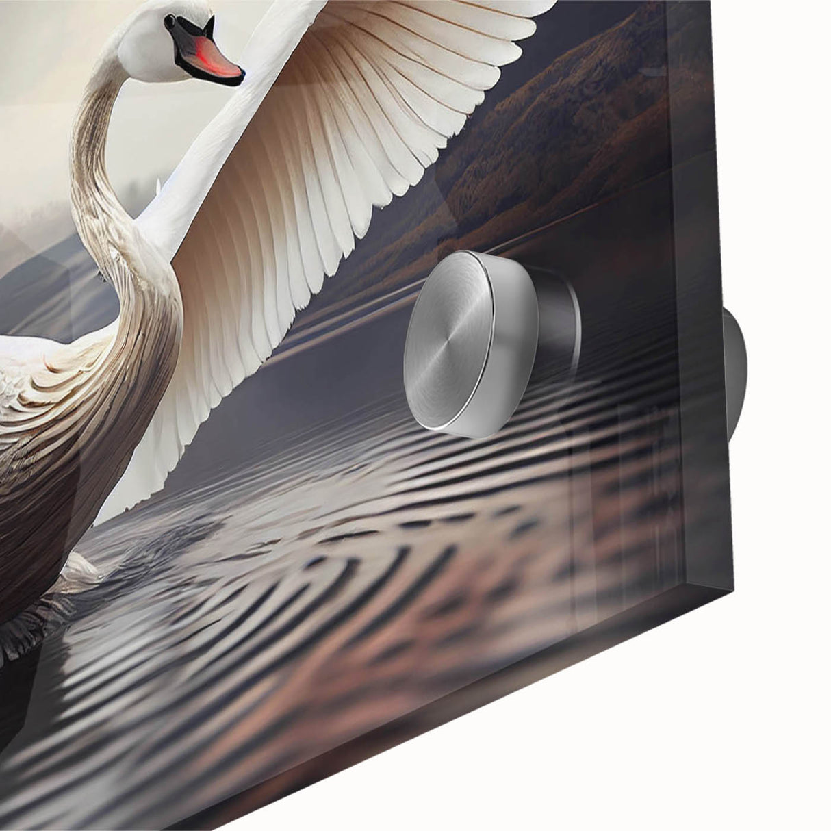 Close-up of a stunning acrylic glass wall art piece showcasing a serene swan design, highlighting intricate details and vibrant colors, perfect for home decor.