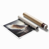 Elegant swan wall art print showcasing detailed illustrations of swans in a serene lake setting, perfect for home decor. Ideal for nature lovers and art enthusiasts.