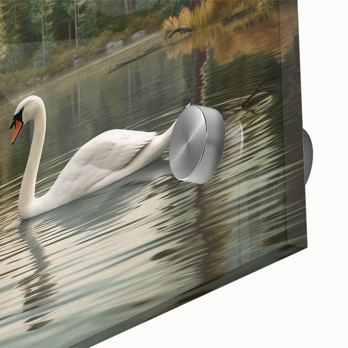 Close-up of an elegant wall art piece showcasing a swan design on acrylic glass, featuring vibrant colors and intricate details, ideal for home decor enthusiasts.