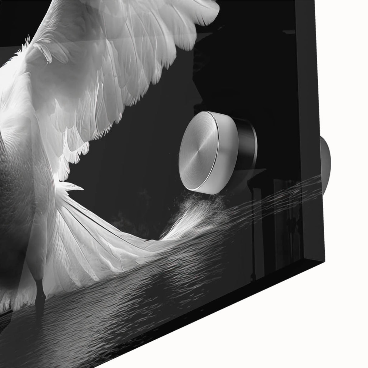 Close-up of a stunning wall art piece featuring a graceful swan design, printed on acrylic glass with vibrant colors, ideal for modern home decor.
