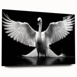 Swan-themed wall art design displayed in an acrylic glass frame, showcasing vibrant colors and intricate details, perfect for modern home décor.