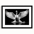 Elegant wall art showcasing a framed black mat design featuring swans in a serene landscape, perfect for home decor and enhancing interior aesthetics. Ideal for nature lovers and art enthusiasts.