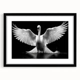 Elegant wall art showcasing a framed black mat design featuring swans in a serene landscape, perfect for home decor and enhancing interior aesthetics. Ideal for nature lovers and art enthusiasts.
