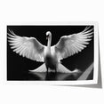 Elegant rolled print showcasing a serene swan design, perfect for home decor. This art piece features soft colors and intricate details, ideal for adding a touch of nature to any room. Packaged securely in a cardboard tube for safe delivery.