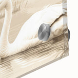 Close-up of intricate swan design wall art collection in acrylic glass, showcasing vibrant colors and detailed textures, ideal for modern home decor.