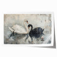 Elegant swan design wall art print in soft pastel colors, showcasing graceful swans against a serene background, perfect for home decor or gallery display.