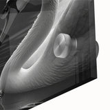 Close-up of a stunning swan wall art design featuring intricate details on acrylic glass, showcasing elegant colors and textures, perfect for modern home decor.