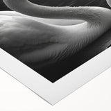 Elegant rolled canvas art depicting a serene swan design on a tranquil blue background, perfect for enhancing home decor and creating a calming atmosphere. This high-quality wall art piece is ideal for nature lovers and adds a touch of sophistication to any room.