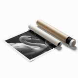 Elegant swan-themed wall art print featuring soft pastel colors, showcasing graceful swans in a serene pond setting, perfect for home decor. Ideal for nature lovers and art enthusiasts.