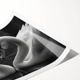 Elegant swan wall art print showcasing a serene water setting with soft pastels, perfect for home decor. Ideal for nature lovers seeking tranquility.