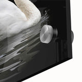 Close-up of an elegant swan design wall art collection, showcasing intricate details on acrylic glass, perfect for enhancing modern home decor.
