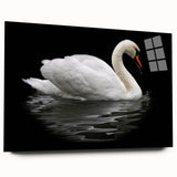 Swan-themed wall art collection displayed in an acrylic glass frame, showcasing elegant birds in soft pastel colors, ideal for contemporary home decor.