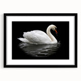 Elegant black-framed wall art featuring a serene swan design, ideal for modern home decor. The artwork is matted, enhancing its aesthetic appeal and making it a perfect addition to any living space.