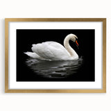 Elegant wall art collection featuring a swan design in a gold frame with matting, perfect for adding a touch of sophistication to any decor. Ideal for bird lovers and home decoration enthusiasts.