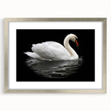 Elegant silver-framed wall art collection featuring swan designs, showcasing intricate details and a sophisticated matting, perfect for modern decor.
