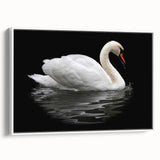 Framed wall art featuring a serene swan design on a white background, showcasing elegant brush strokes and soft colors. Perfect for contemporary home decor.