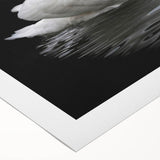 Elegant rolled canvas showcasing a serene swan design in soft pastel colors, ideal for home decor. Perfect for enhancing any living space with a touch of nature.