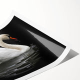 Elegant swan design wall art print featuring soft pastel colors and intricate details, rolled and ready for display, perfect for enhancing any interior décor.