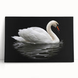 Swan-themed wall art collection displayed on a textured stretched canvas, showcasing elegant birds in soft pastel colors, perfect for home decor or art enthusiasts.