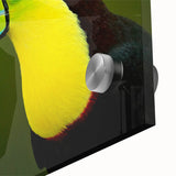 Close-up of a vibrant tropical birds wall art design, showcasing intricate details and vivid colors, printed on acrylic glass for a striking visual effect. Perfect for enhancing modern home decor with a touch of nature.