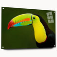 Tropical birds wall art collection displayed in acrylic glass, showcasing vibrant colors and intricate designs, ideal for enhancing home decor aesthetics.