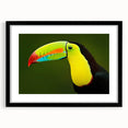Tropical birds wall art design framed in black, showcasing vibrant colors and intricate details, perfect for adding a lively touch to home decor.