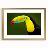 Tropical birds wall art print showcasing vibrant colors and intricate designs, framed in gold with a mat, perfect for adding a lively touch to home decor.