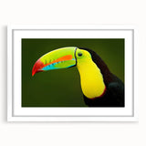 Tropical bird wall art design in a modern white frame with a mat, showcasing vibrant colors and intricate details, ideal for home decor and nature enthusiasts.