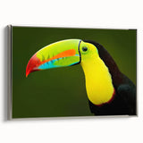 Framed canvas wall art showcasing a vibrant tropical bird design, featuring a sleek silver frame, perfect for adding a touch of nature-inspired elegance to any decor.