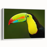 Framed tropical bird wall art in vibrant colors, showcasing exotic species set against a white background, perfect for brightening up any living space.