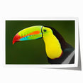 Tropical bird-themed wall art print featuring vibrant colors and intricate designs, elegantly rolled and packaged in a protective tube for easy display.