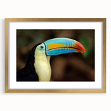 Elegant wall art collection featuring tropical bird designs in vibrant colors, presented in a gold frame with a mat, ideal for enhancing home decor.