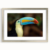 Tropical bird-themed wall art collection in a silver frame with a mat, showcasing vibrant colors and intricate designs, perfect for home decor enhancement.