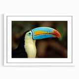 Tropical birds wall art collection featuring vibrant colors and intricate designs, framed with a white mat, ideal for enhancing home décor. Perfect for nature lovers.