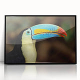 Framed acrylic wall art featuring a vibrant tropical birds design with vivid colors, ideal for home decor, displayed in a sleek black frame.