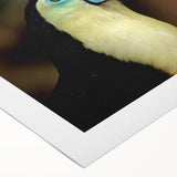 Vibrant tropical bird wall art design on rolled canvas, showcasing vivid colors and intricate details, ideal for home decor or art enthusiasts.