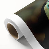 Tropical bird wall art collection on rolled canvas, featuring vibrant colors of exotic birds in a lush green setting, ideal for home decor and nature lovers.