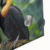 Close-up of vibrant tropical bird wall art piece featuring vivid colors and intricate details on acrylic glass, ideal for enhancing modern home decor.