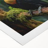 Vibrant rolled canvas artwork showcasing a collection of tropical birds in vivid colors, perfect for enhancing home decor and creating a lively atmosphere.