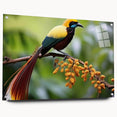 Tropical bird wall art collection displayed in a sleek acrylic frame, showcasing vibrant colors and intricate designs, perfect for enhancing modern interior decor.