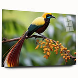 Tropical birds wall art collection displayed in acrylic glass, showcasing vibrant colors and intricate designs. Perfect for adding a touch of nature to home decor.