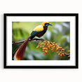 Tropical bird wall art collection framed with a sleek black mat, showcasing vibrant colors and intricate details, perfect for enhancing living spaces.