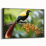 Framed canvas wall art showcasing a vibrant tropical bird design with a black frame, perfect for adding a colorful touch to home decor. Ideal for bird lovers and nature enthusiasts.