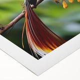 Vibrant tropical birds wall art printed on rolled canvas, showcasing vivid colors and intricate details, ideal for enhancing home decor and adding a lively touch.