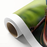 Tropical birds canvas wall art showcasing vibrant colors and intricate details, perfect for home decor, rolled and ready for display in a protective tube.