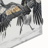 Vibrant close-up of a tropical birds wall art design featuring vivid colors and intricate details, showcasing exotic bird species on acrylic glass for a stunning display.