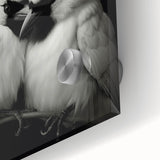 Vibrant close-up of a tropical birds wall art design, showcasing colorful feathers and intricate details on acrylic glass, perfect for home decor enthusiasts.