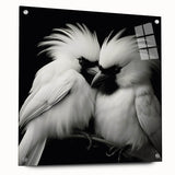 Tropical birds wall art collection displayed in a side view, featuring vibrant colors and intricate designs, mounted with pins on a sleek acrylic glass frame. Perfect for enhancing interior decor.